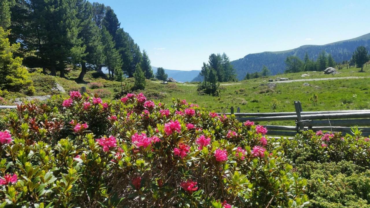 Genusshotel Almrausch Bad Kleinkirchheim Exteriér fotografie