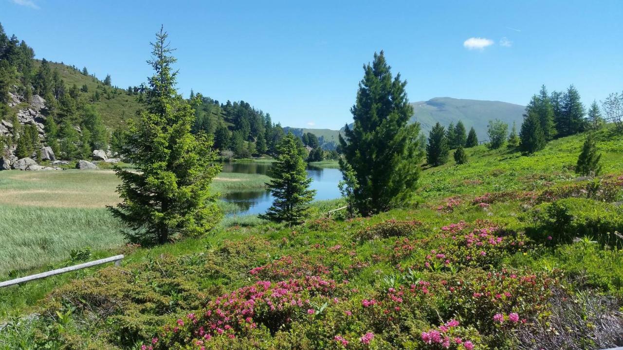 Genusshotel Almrausch Bad Kleinkirchheim Exteriér fotografie